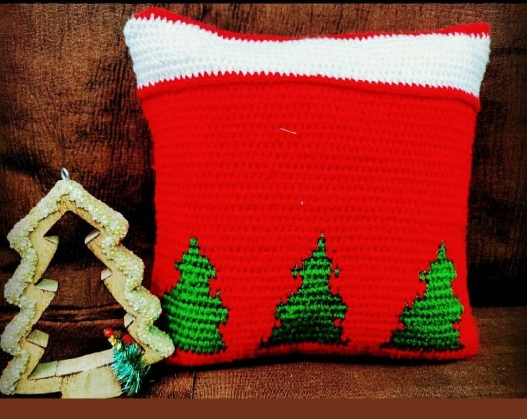 Cushion Covers 003